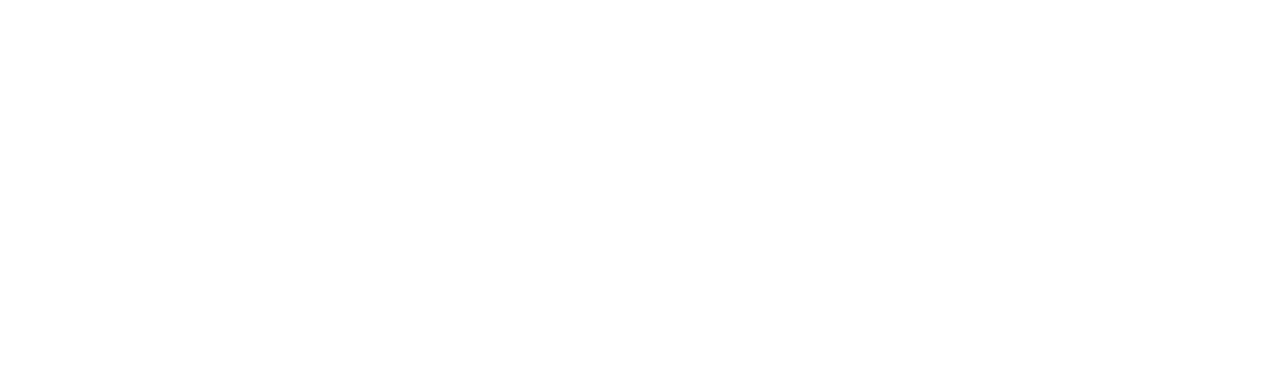 Nets Akademi